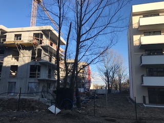 IMG_5678.jpg